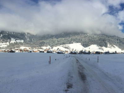 Bild 28 aus  Kinderbauernhof Felder