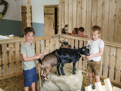 Bild 13 aus  Linharterhof Appartements