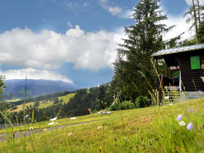 Bild 26 aus  Schwammerlhütte