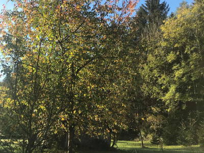 Bild 14 aus  1000 Krauthaus - Berghütte