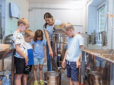 Bild 98 aus  Kronhofer - Apartments und Erlebnis-Imkerei