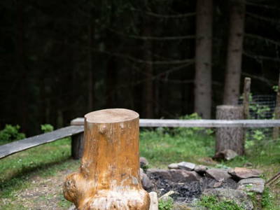 Bild 21 aus  Kramerbrentl