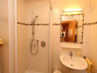 Bild 239 aus  Tritscherhof