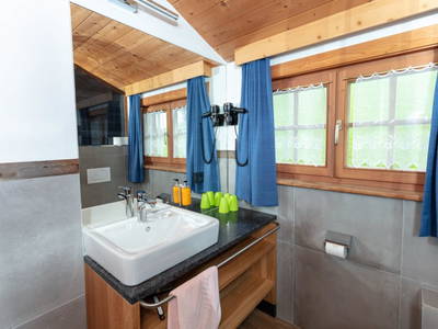 Bild 52 aus  Almresort Baumschlagerberg