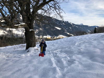 Bild 33 aus  Lutzmannalm