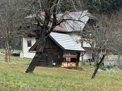 Bild 31 aus  S'Landhäuschen