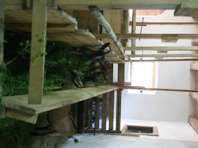 Bild 131 aus  Kaspergut