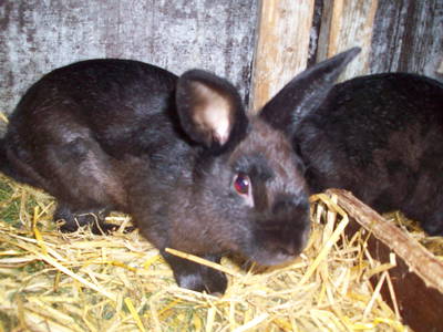 Bild 13 aus  Ferienhof Op de Warft