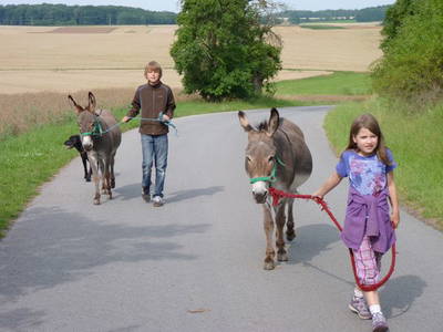 Bild 19 aus  Ferienwohnung Lindleshof