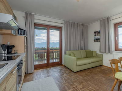 Bild 17 aus  Pleschinhof