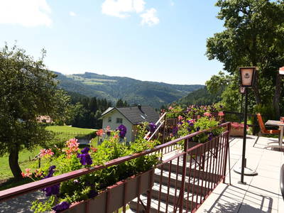 Bild 171 aus  Panorama Hof Fa. Sereinig