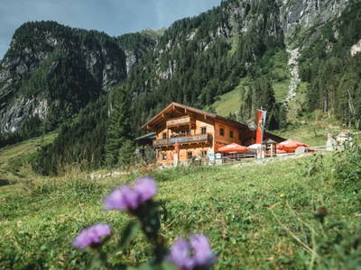 Bild 105 aus  Enzianhütte im Habachtal