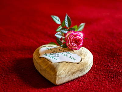 Bild 99 aus  Reitlhof am Sonnenhang   Bio-Bergbauernhof bei Salzburg 