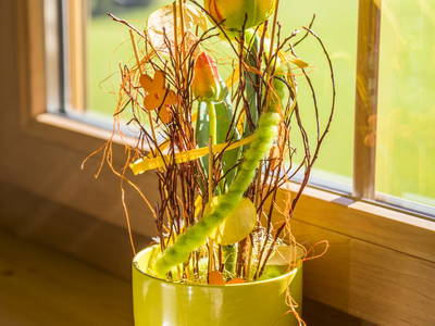 Bild 97 aus  Bio-Bauernhof Obertrattenbachhof