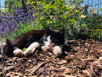 Bild 20 aus  Knirschenhof