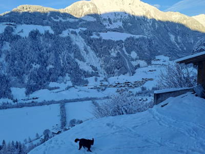 Bild 122 aus  Bauernhof Wachtlerhof