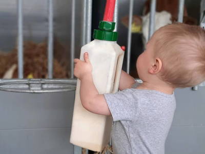 Bild 37 aus  Grainmeister