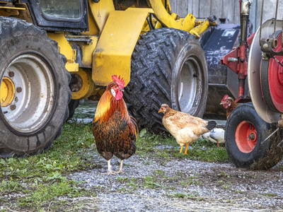 Bild 10 aus  Ferienhaus Untergrünweg