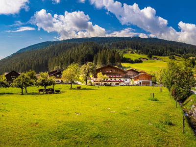 Bild 158 aus  Bio-Bauernhof Schweizerhof