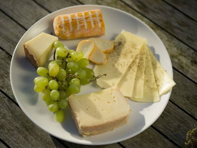 Bild 16 aus  Testhof UaB NÖ