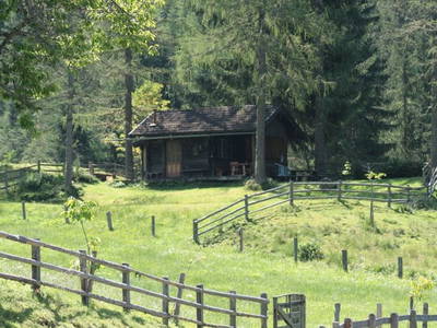 Bild 50 aus  Biobauernhof Windbachgut - Privatzimmer