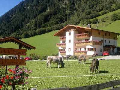 Bild 95 aus  Alfaierhof & Bergheimat