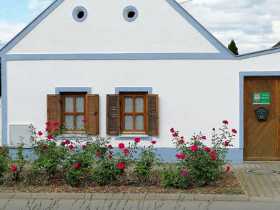 Bild 2 aus  Weingut Ferienhäuser Thell