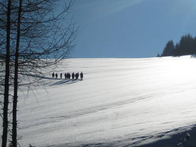 Bild 53 aus  Größingalm