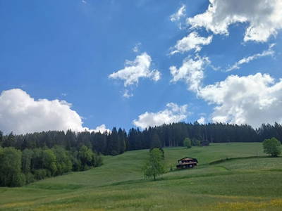 Bild 5 aus  Berghütte Boid