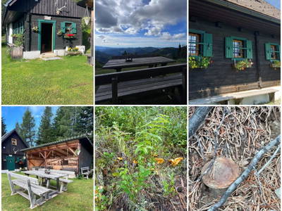 Bild 29 aus  Pobihütte