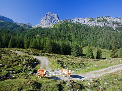 Bild 7 aus Unterpleißlinghütte