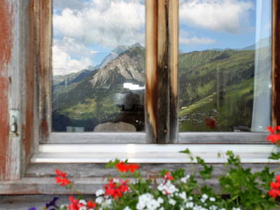 Bild 23 aus  Panoramahof Nigsch