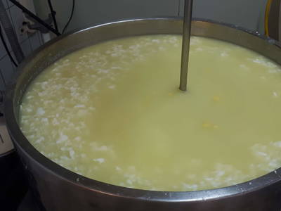 Bild 93 aus  Schwarzenbichlalm