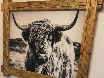 Bild 20 aus  Vorderreit