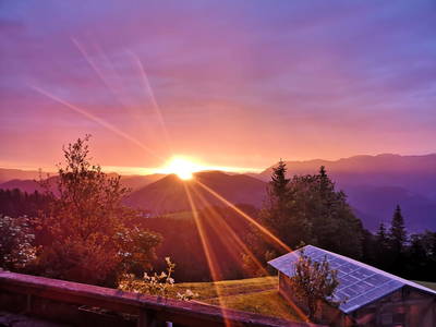 Bild 65 aus  Bio Bauernhof Kurzeck