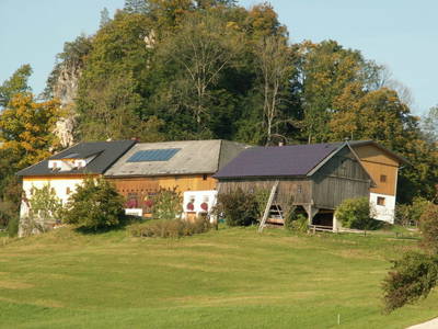 Bild 115 aus  Biohof Brückler 