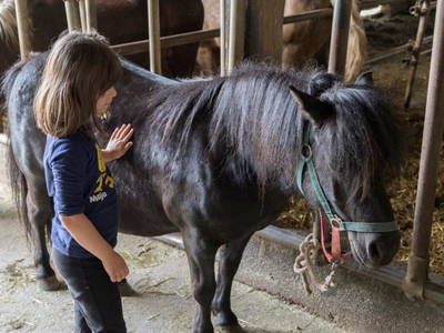 Bild 67 aus  Allgäu Bergferienhof