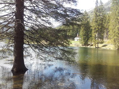 Bild 38 aus  Grassleralm