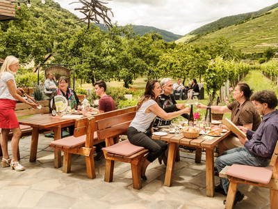 Bild 27 aus  Weingut STRAWANZER Donabaum