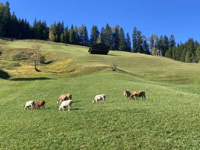 Bild 9 aus Neuhauserhof
