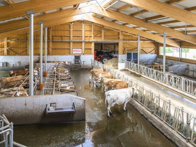 Bild 110 aus  Klinglerbauer