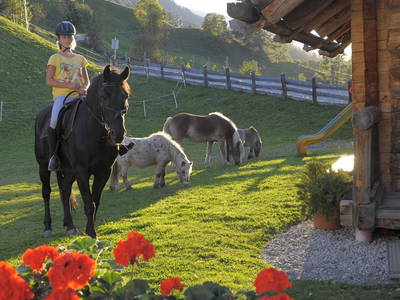 Bild 31 aus  Bruckreiterhof