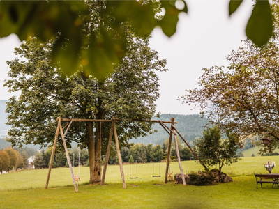 Bild 108 aus  Almenlandhof