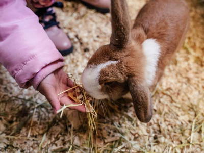 Bild 10 aus  Grainmeister