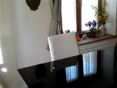 Bild 32 aus Apartment an der Mariazellerbahn