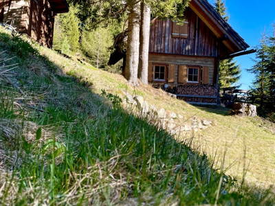 Bild 20 aus  Königsreiner  Hütte