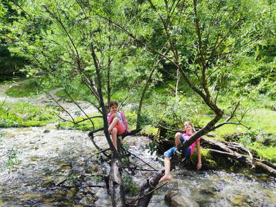 Bild 82 aus  Ascherhof