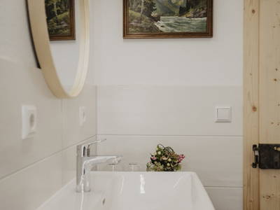 Bild 39 aus  Goschn Lehen