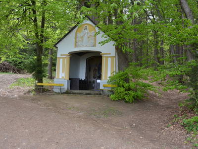 Bild 27 aus  Weingut Seiner vlg.Kraxner