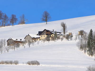 Bild 88 aus  Ferienhof Schneiderweg